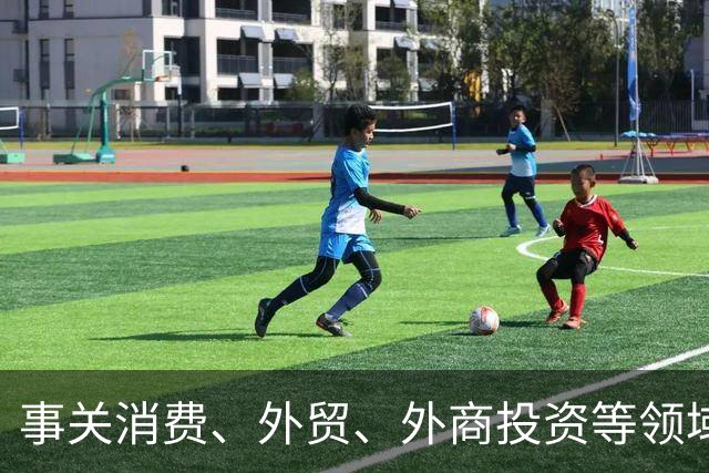 事关消费、外贸、外商投资等领域，商务部公布多个重磅数据