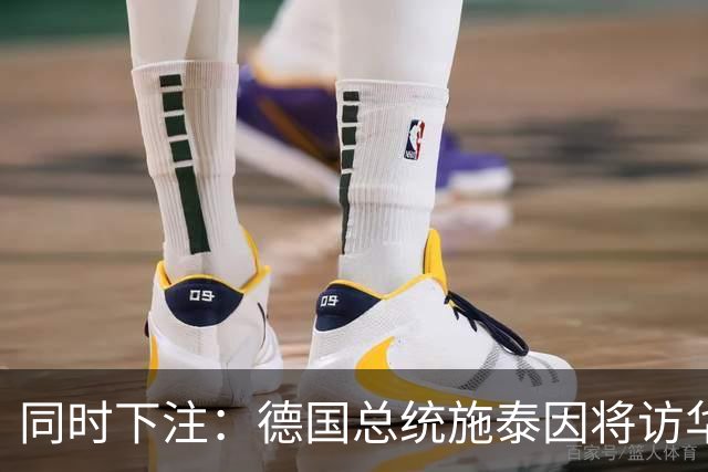 同时下注：德国总统施泰因将访华，几乎同时总理默茨将访问日本