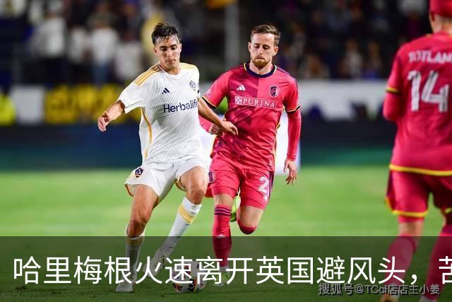 哈里梅根火速离开英国避风头，苦了俩孩子，这学还能不能上了